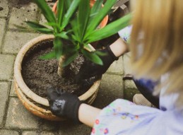 Aprende a cuidar de tu jardín