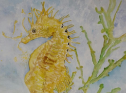 MAR MENOR SIEMPRE VIVO. ESPOSICI&Oacute;N PINTURA