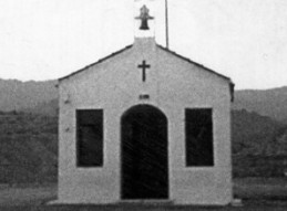 MEMORIAS DEL PALMERAL