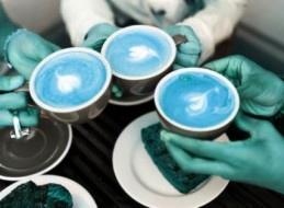 TALLER: ENCUENTRO CON LA SALUD