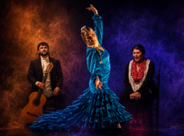 RAICES FLAMENCAS