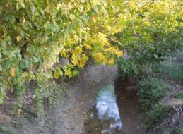 "DESDE LA ANTIGUA ESCUELA DE NONDUERMAS A LA DE LA RAYA POR LOS CAMINOS DEL AGUA"
