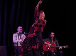 RA&Iacute;CES FLAMENCAS