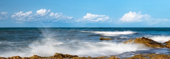 ¡FELÍZ VERANO!